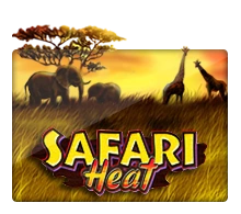 Safari Heat - CSPLAY168