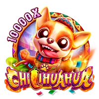 CHILIHUAHUA - CSPLAY168