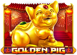Golden Pig - CSPLAY168
