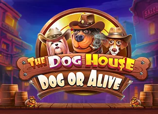 The Dog House - Dog or Alive - CSPLAY168