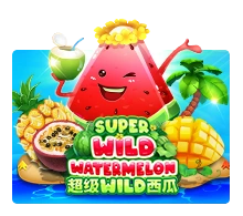 Super Wild Watermelon - CSPLAY168