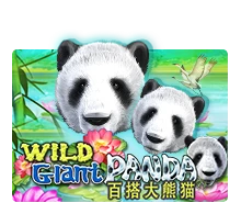 Wild Giant Panda - CSPLAY168