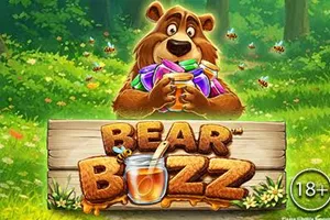 Bear Buzz - CSPLAY168