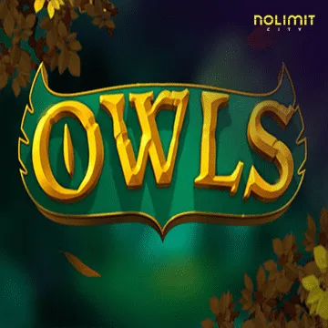 Owls - CSPLAY168