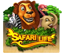 Safari Life - CSPLAY168