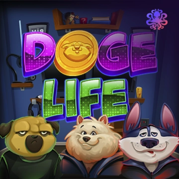 Doge Life - CSPLAY168