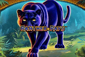 Playtech : Panther Pays - CSPLAY168