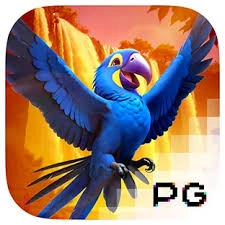 Wings of Iguazu - CSPLAY168