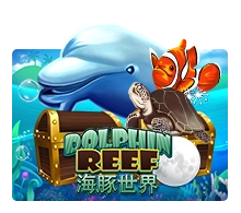 Dolphin Reef - CSPLAY168