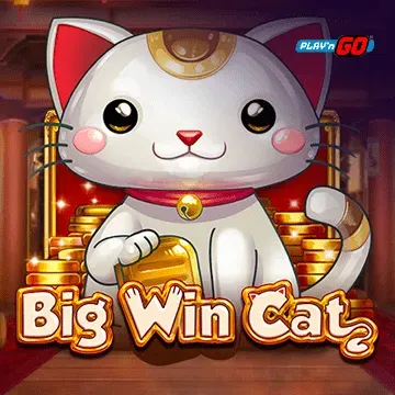 Big Win Cat - CSPLAY168