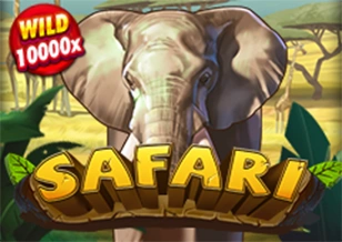 Safari - CSPLAY168