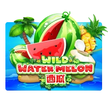 Wild Watermelon - CSPLAY168