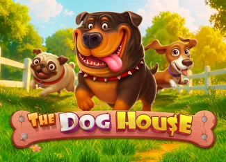 The Dog House - CSPLAY168