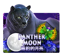 Panther Moon - CSPLAY168