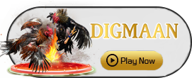 Digman - CSPLAY168