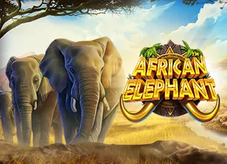African Elephant - CSPLAY168